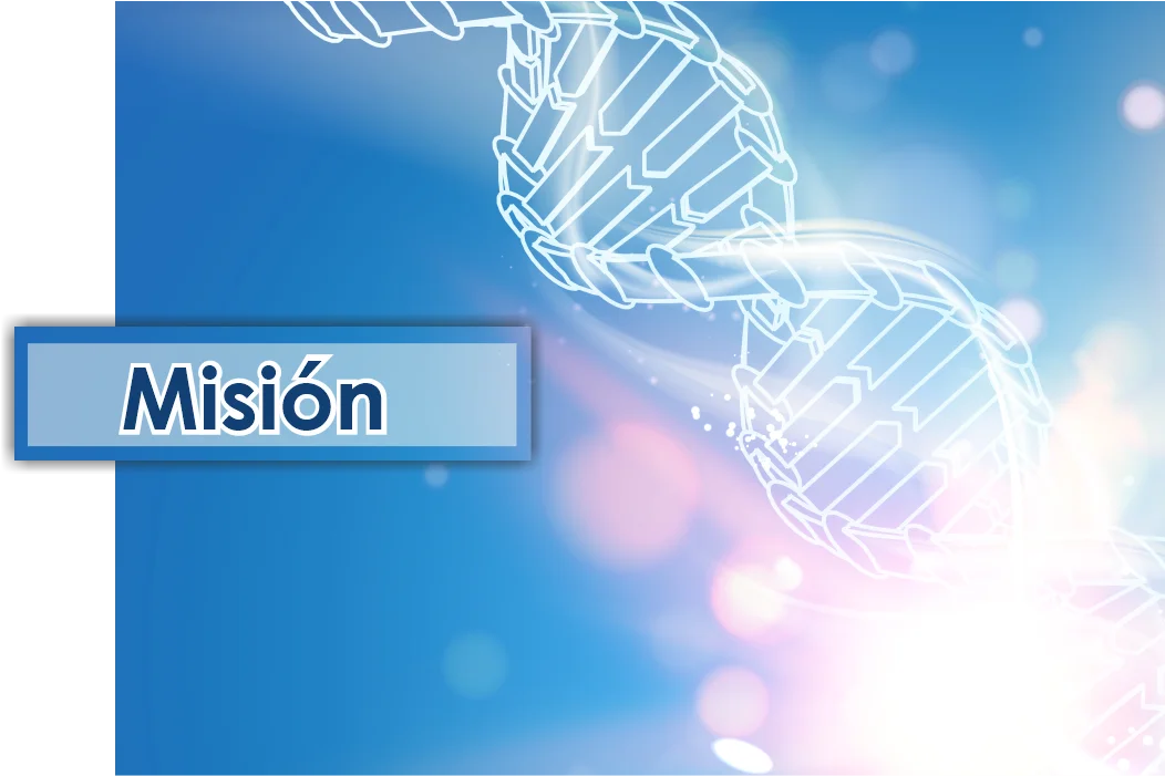 Misión
